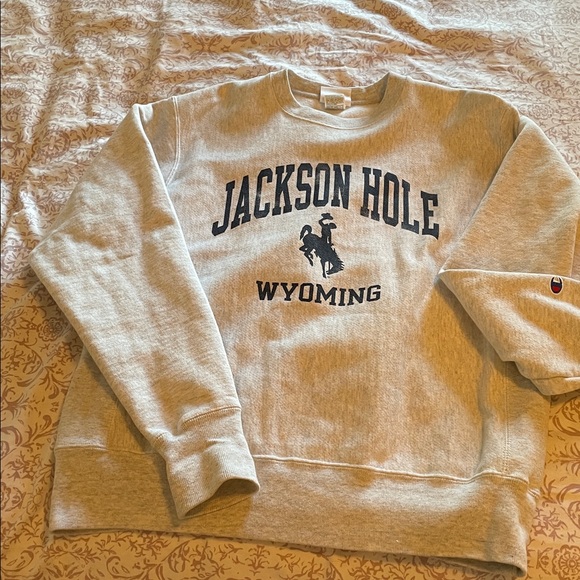 Champion Light Gray Jackson Hole Wyoming Crewneck medium - Picture 1 of 3